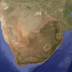 land4lions